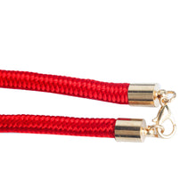 Load image into Gallery viewer, BRAND NEW UNIVERSAL VIP JUNCTION PRODUCE INTERIOR RED FUSA CHARM WITH GOLD KNOT