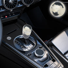 Load image into Gallery viewer, Brand New 1PCS Universal 10CM JDM Clear White Real Flowers Manual Car Black Base Racing Stick Shift Knob M8 M10 M12